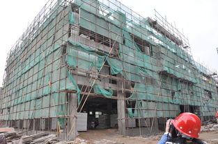 東南國際建材城2月11日施工進度簡報